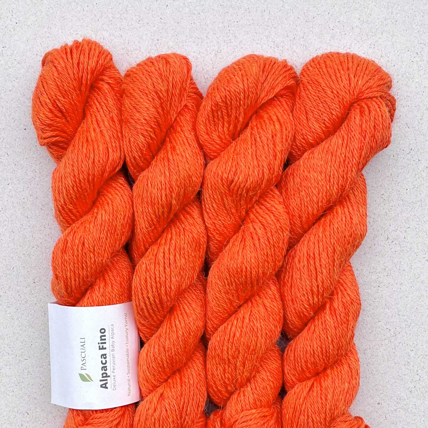 Pascuali Alpaca Fino