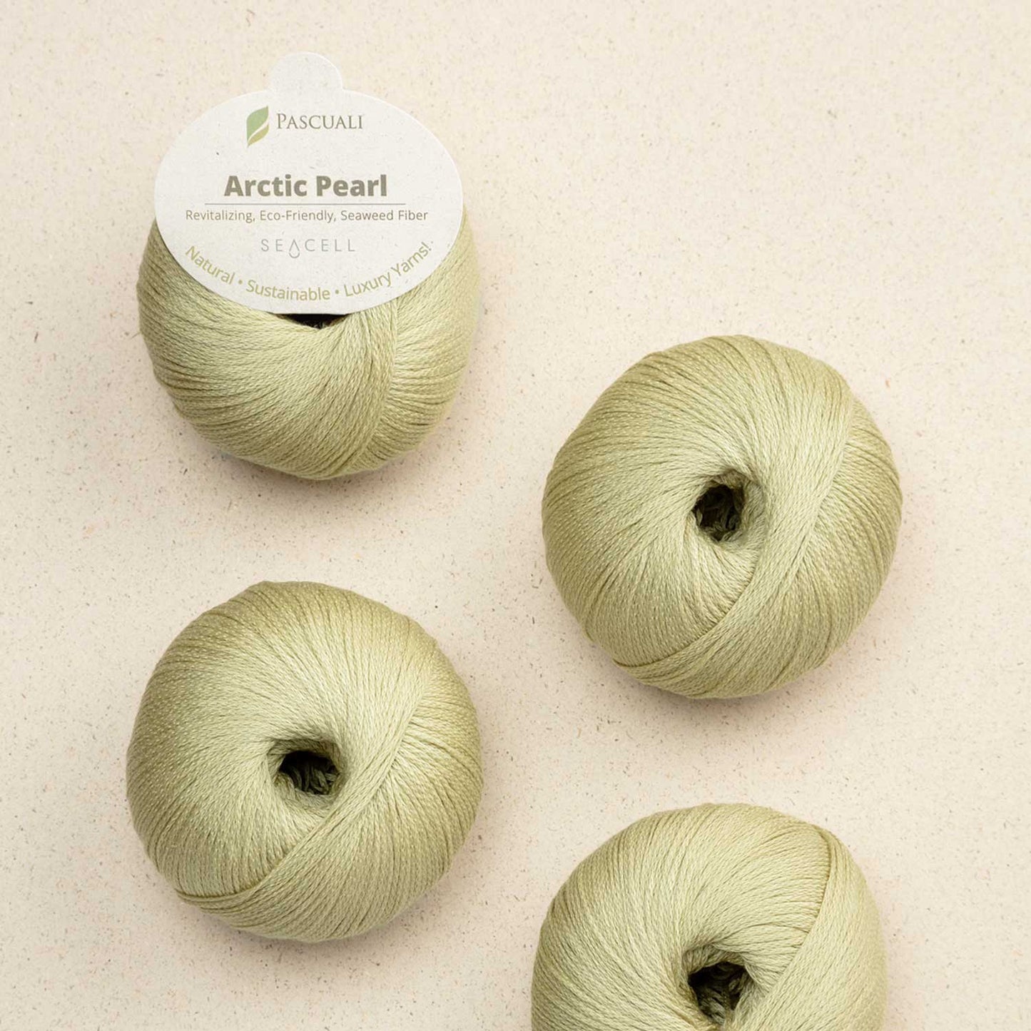 Pascuali Arctic Pearl